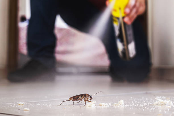 Professional Pest Control in Brushy Creek, TX